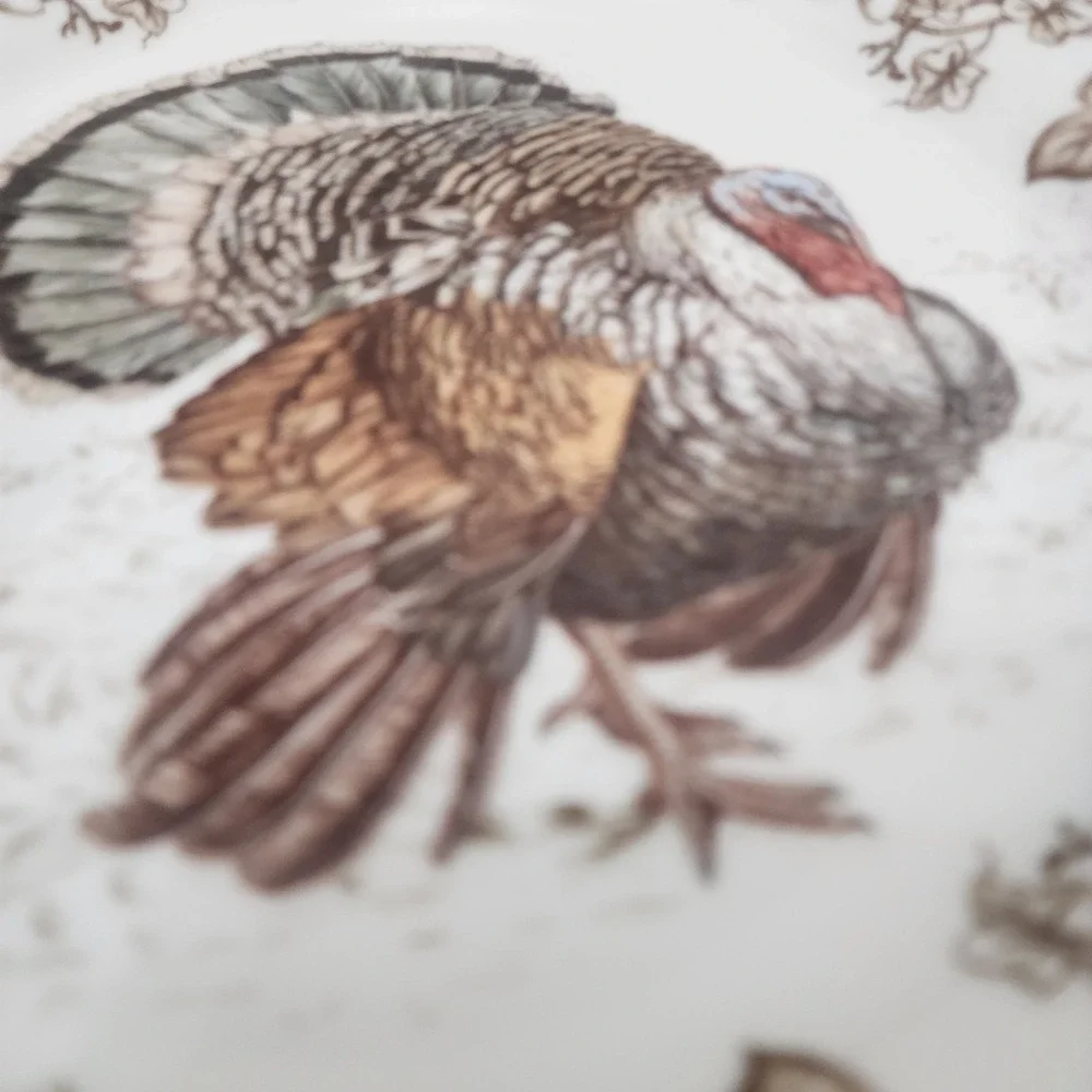 2-Williams Sonoma Plymouth Turkey Dinner Plate 10 1/2